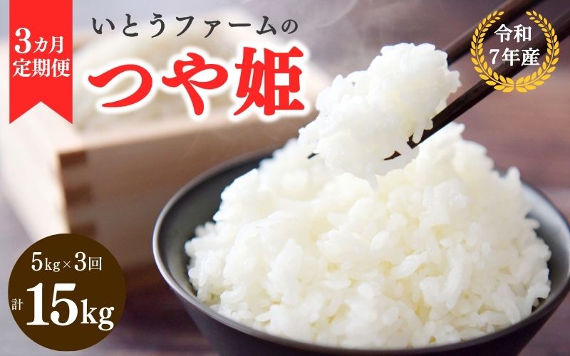 【3ヶ月定期便】いとうファームの 令和7年産「つや姫」5kg×3回 計15kg / 米 お米 精米 白米 ご飯  米定期便 産地直送 【itofarm014】