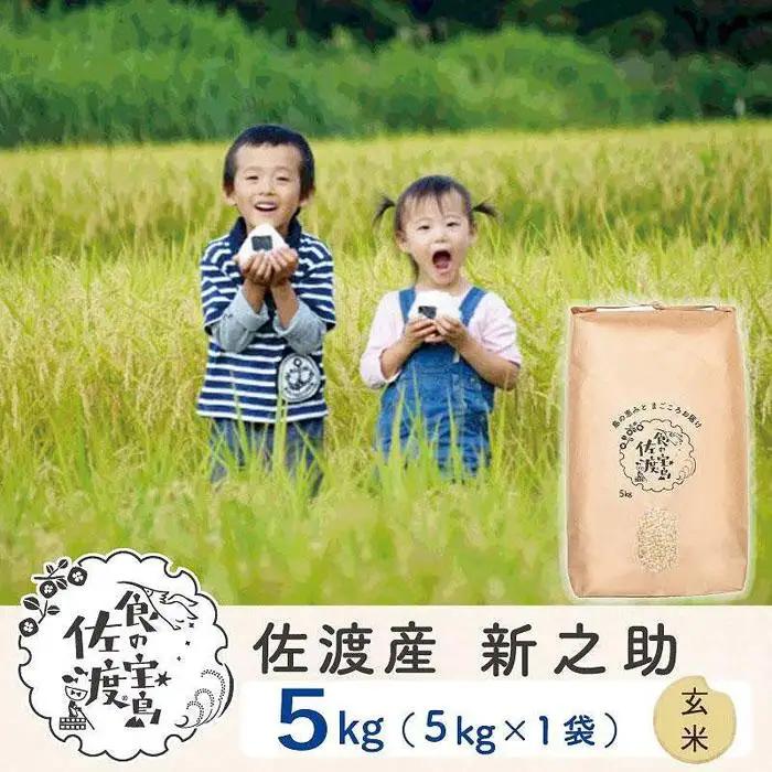米 玄米 5kg 1袋 |新之助 新潟県 佐渡市