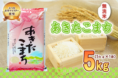 あきたこまち 無洗米 5kg 令和7年産 盛岡市産 岩手 米 お米 白米 ブランド米 いわて米 秋田こまち 精米 白米 米 お米 こめ コメ ライス ご飯 ごはん 美味しい 贈り物 国産 岩手県 盛岡