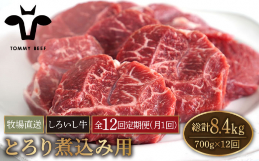 【牧場直送】【12回定期便】佐賀県産 しろいし牛 とろり 煮込み用 700g【有限会社佐賀セントラル牧場】 [IAH141]