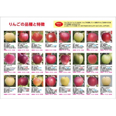 【発送月固定定期便】〈2024年11月より順次発送〉甘味系・青森県産りんご約3kg 全3回【配送不可地域：離島・沖縄県】【4051689】