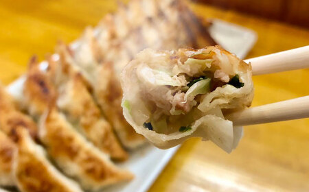 【全12回定期便】【3パック】餃子屋ヒロの ほんのりにんにく餃子【餃子屋ヒロ】開成町 餃子 点心 惣菜 冷凍[BDAS015]