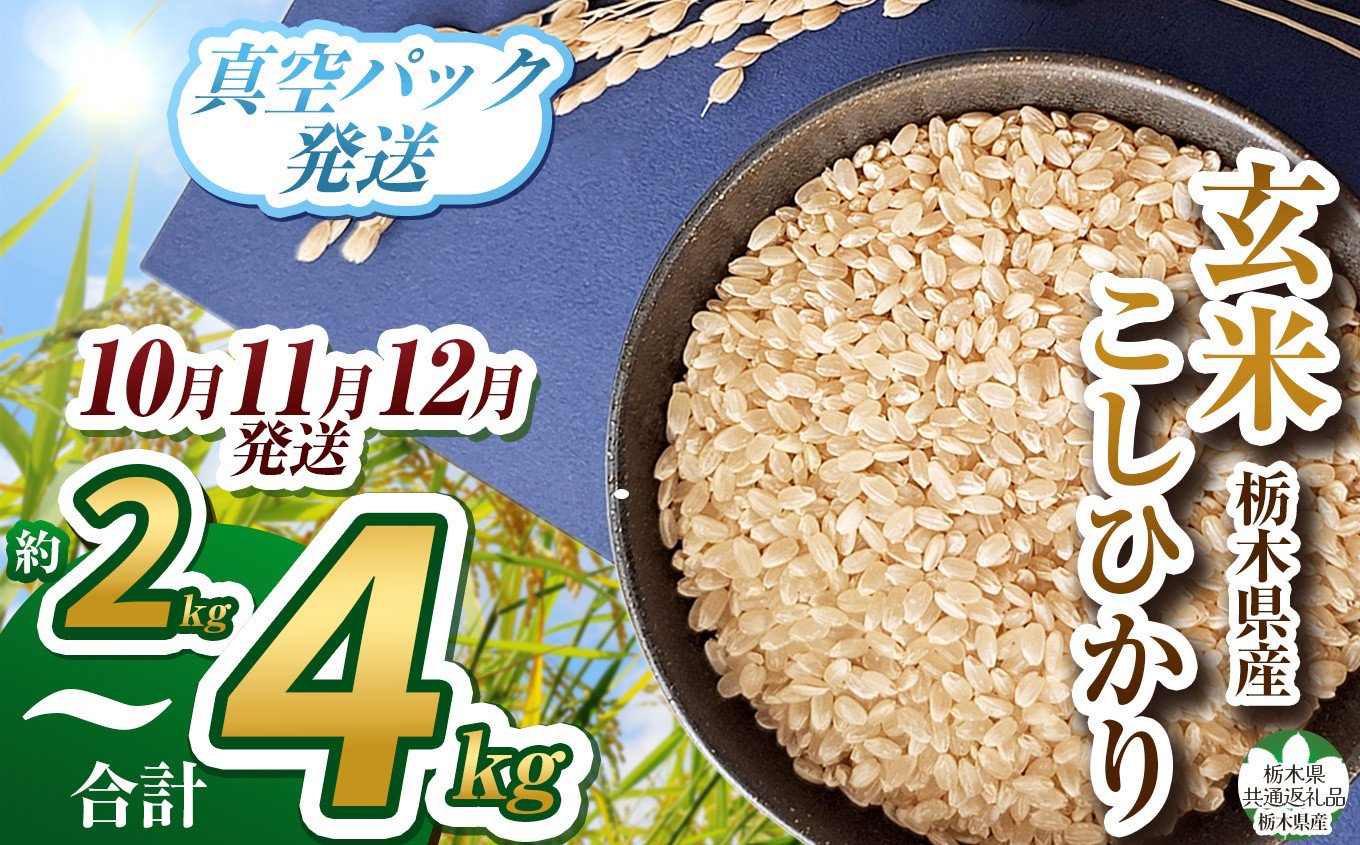 
            【栃木県共通返礼品】【先行予約】【数量限定】毎月500個限定！令和7年度新米 栃木県産こしひかり（玄米真空パック）2kg×2  |  ふるさと納税 お米  米 精米 白米 玄米 大粒  お買い得 送料無料 下野市
          