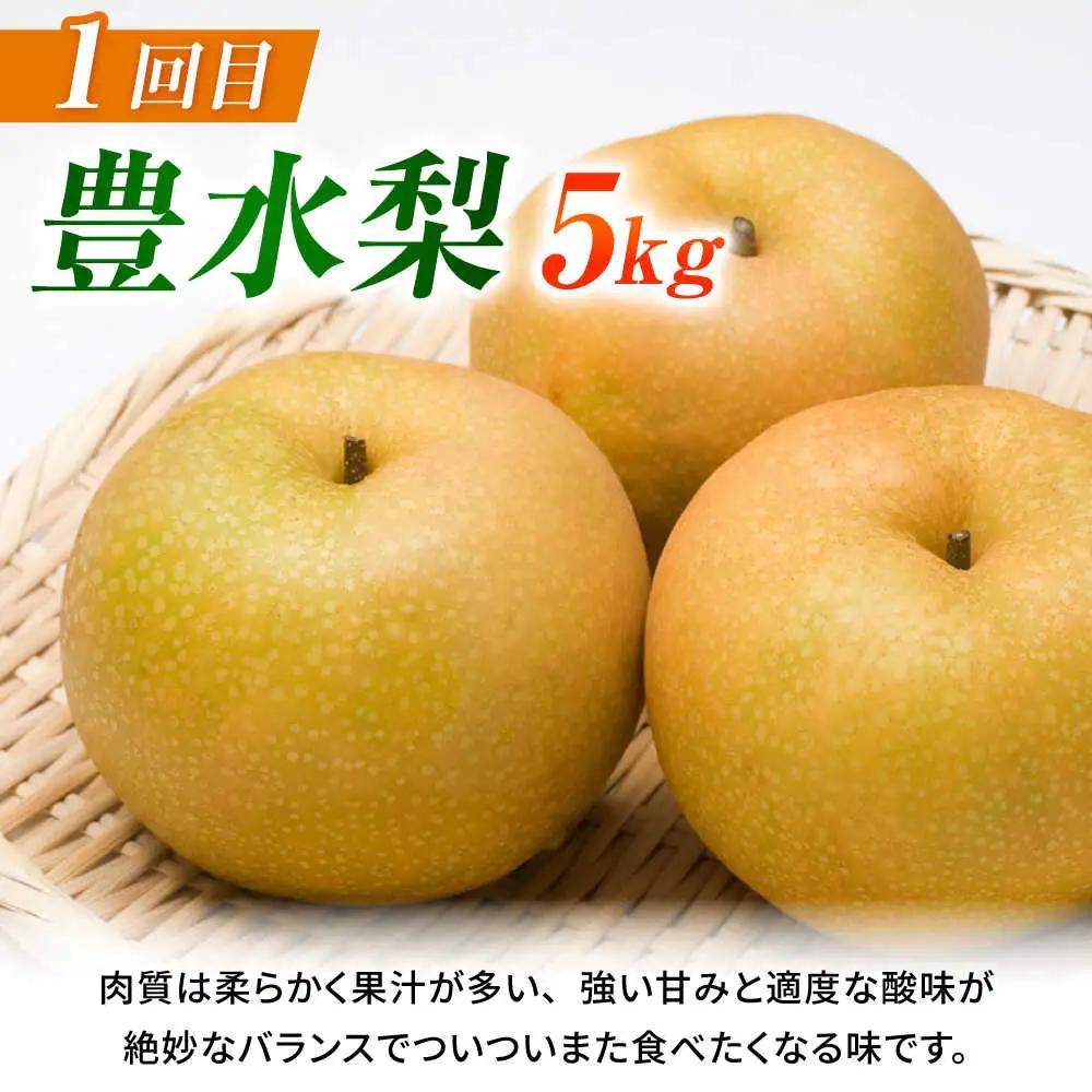 【先行予約】【3回定期便】 梨 約5kg 計約15kg（豊水・秋月・新高）  梨 ナシ フルーツ 果物 【日本フルーツ株式会社】 [ZFJ024]