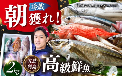 【五島列島直送】朝獲れ高級鮮魚セット2kg 五島市 / 鯛福丸水産[PDP002] 鮮魚 セット 冷蔵 刺身 魚 海鮮 直送 さかな 詰合せ 新鮮 料理
