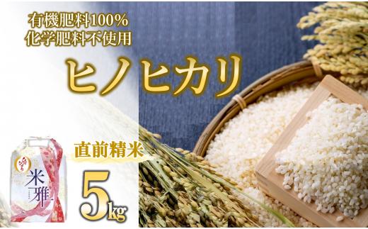 【スピード発送】令和７年産 ヒノヒカリ 5kg 白米　精米 直前精米 化学肥料不使用 有機米 お米 こめ コメ ひのひかり 人気 兵庫県産 精米