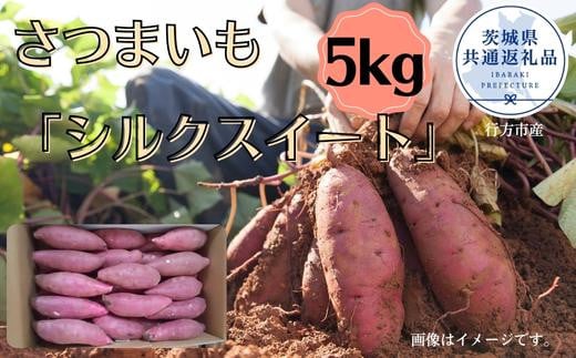 さつまいも「シルクスイート」約5kg（2025年産）（茨城県共通返礼品・行方市産） ／ さつまいも さつま芋 サツマイモ 薩摩芋 甘薯 シルクスイート 5kg 野菜 茨城県 送料無料