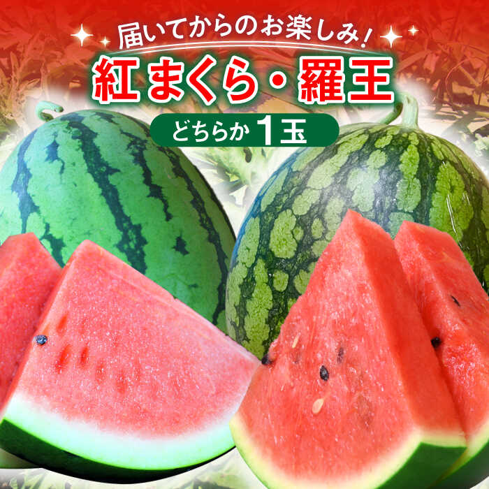 【ふるさと納税】【着日指定可能】【先行予約】夏の贅沢！あま〜いスイカ！平戸産 スイカ 1玉（Lサイズ・6〜7kg） [KAB118] すいか スイカ 西瓜 フルーツ 果物 今が旬
