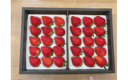 栃木県産朝採り甘熟とちおとめ12～18粒の大粒を2パックでお届け400g×2p ｜ とちおとめ いちご 苺 栃木県 果物 フルーツ ※北海道・沖縄・離島への配送不可 ※2026年1月上旬～4月中旬頃に