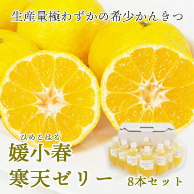 【ふるさと納税】ゲル化剤・pH調整剤不使用!愛媛産 媛小春寒天ゼリー(8本/12本/30本)_【G1305617】 YWTAP043