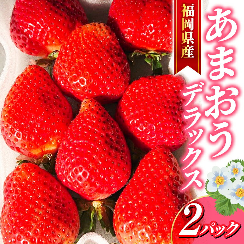 【ふるさと納税】 【2027年2月～4月下旬発送予定】いちご あまおう 福岡産 DXあまおう 約250-270g×2パック セット 苺 イチゴ フルーツ 果物 くだもの 春 旬 数量限定 福岡 九州 福岡県 川崎町