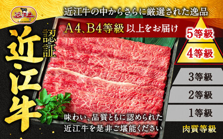 近江牛 希少部位５種 焼肉用 詰合せ 黒毛和牛 ロース 和牛 国産 近江牛 和牛 近江牛 ブランド牛 和牛 近江牛 三大和牛 牛肉 和牛 近江牛 冷凍 贈り物 和牛 近江牛 ギフト 和牛 近江牛 プレ