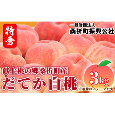 ふるさと納税 桑折町 もも(だてか白桃)特秀3kg(8玉〜11玉)献上桃の郷桑折町産