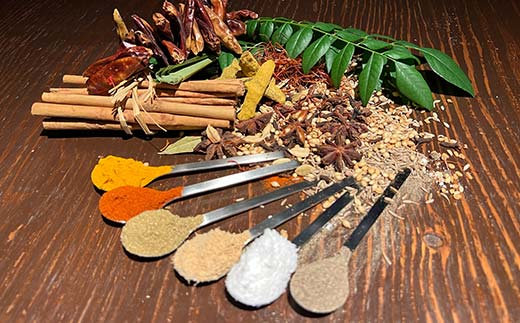 【3ヶ月連続定期便】ひだまり薬膳スパイスカレー 4個 冷凍 薬膳 スパイスカレー カレー スパイス デトックス 保存食 ジビエ 低糖質 ターメリックライス F4F-4366