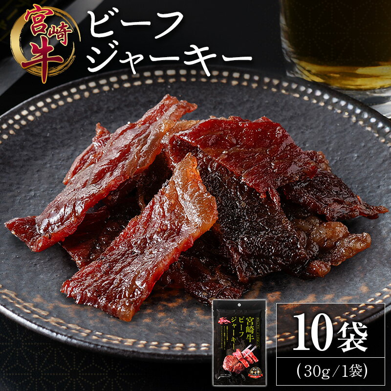 【ふるさと納税】宮崎牛 ビーフジャーキー 10袋 (30g×10袋) おつまみ 宮崎県産