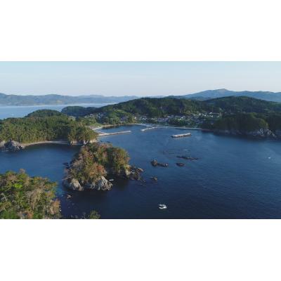 ふるさと納税 陸前高田市 生きたまま発送 毛ガニ 約400g×1匹 陸前高田市産 かに カニ 蟹 活毛ガニ 新鮮 濃厚 天然 |  | 03