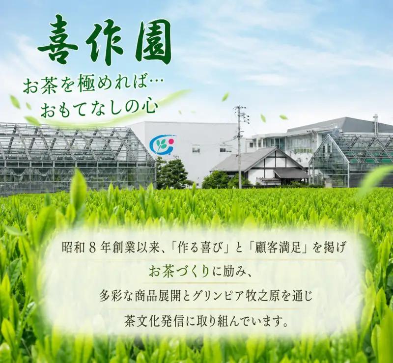 水出し茶 と フィルターインボトル セット お茶 茶 本格的 美味しい 静岡お茶 静岡緑茶 喜作園