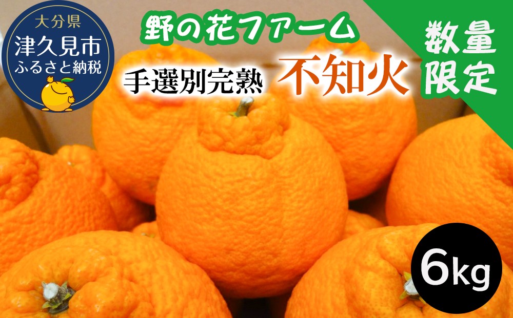 
                  【先行予約・数量限定】野の花ファーム 不知火 6kg 手選別完熟| ミカン 津久見みかん 箱みかん しらぬいミカン 不知火ミカン 絶品みかん 蜜柑 オレンジ 果実 旬のフルーツ 大分県産 九州産 津久見市
                
