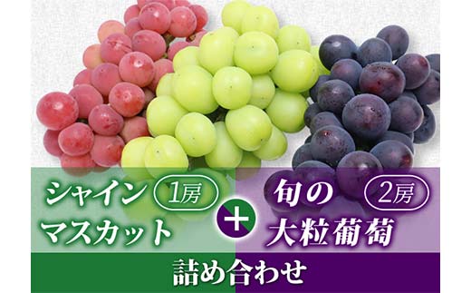 【令和7年先行受付】シャインマスカット＆旬の大粒ぶどう 詰め合わせ 約1.8kg（計3房） ぶどう 果物 フルーツ FSY-2106