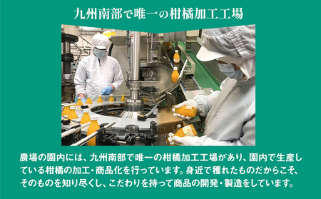 九州果実ジャム 熊本県セット 3個セット 6ヶ月定期便 デコポンジャム 甘夏マーマレード 晩白柚ジャム 1個あたり120g《30日以内に出荷予定(土日祝日除く)》熊本県 水俣市 津奈木町 福田農場 ジ