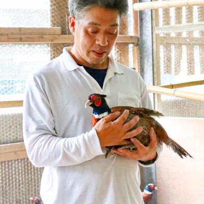 ふるさと納税 いの町 【きじ肉】土佐・本川 手箱"喜事"辛みそ鍋セット(3〜4人前) |  | 03
