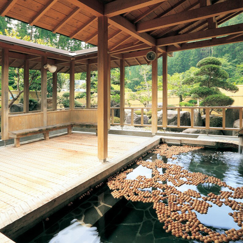 【ふるさと納税】「湯～らんどパルとよね(兎鹿嶋温泉)」優待（無料）券5枚