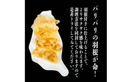 餃子 手作り餃子 20個入り 1袋 冷凍 鹿嶋市