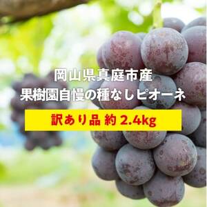 【きよとうファーム】訳あり品 種なしで甘い葡萄の王様「ピオーネ」 /約2.4kg(岡山県産)【配送不可地域：離島】【1602470】