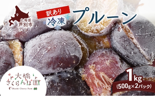 
                  【訳アリ】  冷凍 プルーン 500g × 2パック 1kg 大橋さくらんぼ園 果物 果物類 フルーツ デザート 完熟 急速冷凍 新鮮 美味しい 人気 冷凍配送 北海道 芦別市[№5342-0766]
                