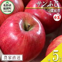 【ふるさと納税】 りんご サンふじ 家庭用 ( 小玉 ) 5kg 渡辺農園 沖縄県への配送不可 令和7年度収穫分 エコファーマー認定 減農薬栽培 長野県 飯綱町 〔 信州 果物 フルーツ リンゴ 林檎 長野 11000円 予約 農家直送 〕発送時期：2025年12月中旬〜2026年1月中旬{**}