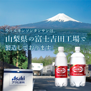 【2ヶ月お届け！】炭酸水 ウィルキンソン タンサン PET500ml×2箱（48本入）定期便 2回 アサヒ 強炭酸水 炭酸 水 炭酸水ウィルキンソン 山梨 富士吉田