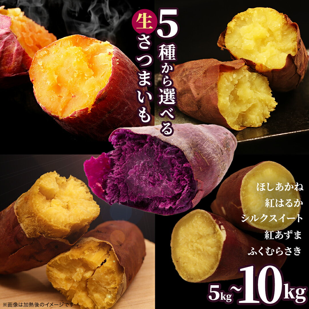 【ふるさと納税】さつまいも 【 選べる品種 】 5kg / 10kg ( 箱込 ) サツマイモ さつま芋 芋 いも 野菜 焼き芋 スイーツ おやつ 国産 シルクスイート 紅はるか 紅あずま ふくむらさき ほしあかね