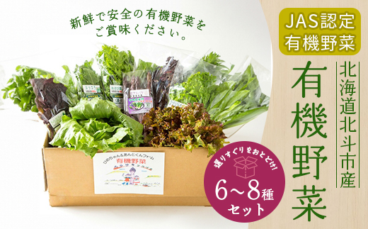 【JAS認定有機野菜】北斗市産 有機野菜6〜8種類野菜セット 紙箱入(季節で種類が変わります) HOKB020