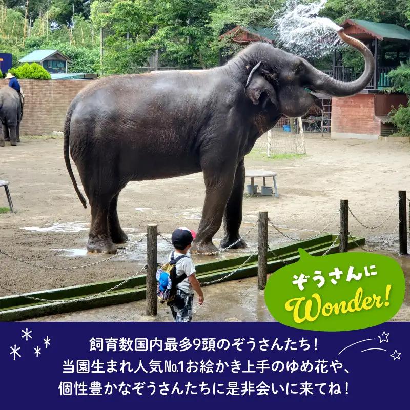 入園チケット 市原 ゾウの国 ペア 招待券 市原市 入場券 チケット