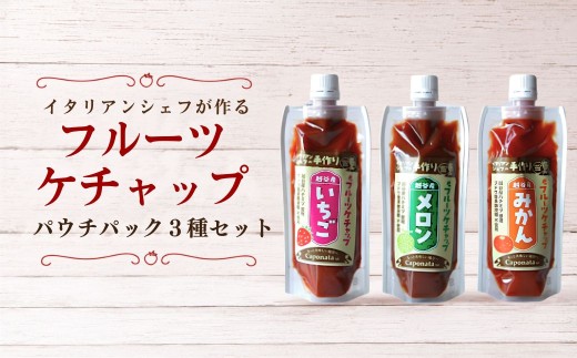 ケチャップ フルーツケチャップ 苺 メロン みかん 3種類セット レシピ付き | 自家製ケチャップ ケチャップ　けちゃっぷ　いちごケチャップ メロンケチャップ みかんケチャップ 埼玉県 越谷市