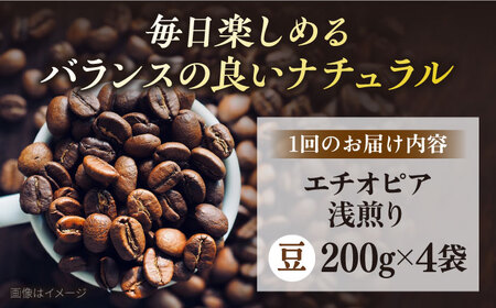 【全3回定期便】コーヒー豆 自家焙煎 浅煎り エチオピア 200g×4 TSUKIKOYA COFFEE ROASTER ツキコヤ 珈琲 こだわり 横須賀【株式会社RUINS】 [AKAD007]