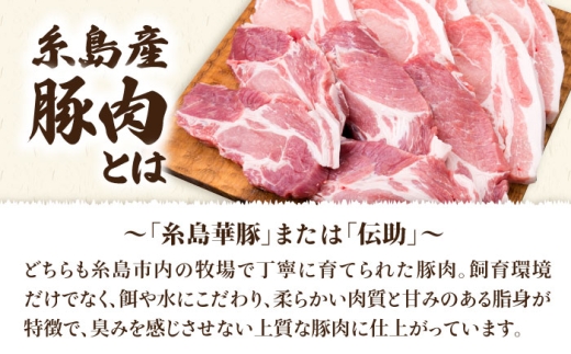 【合計11枚】とんかつ用セット 糸島産豚ロース肉 約100g×6枚 / 肩ロース 約120g×5枚 豚肉 《糸島》【糸島ミートデリ工房】 [ACA228]