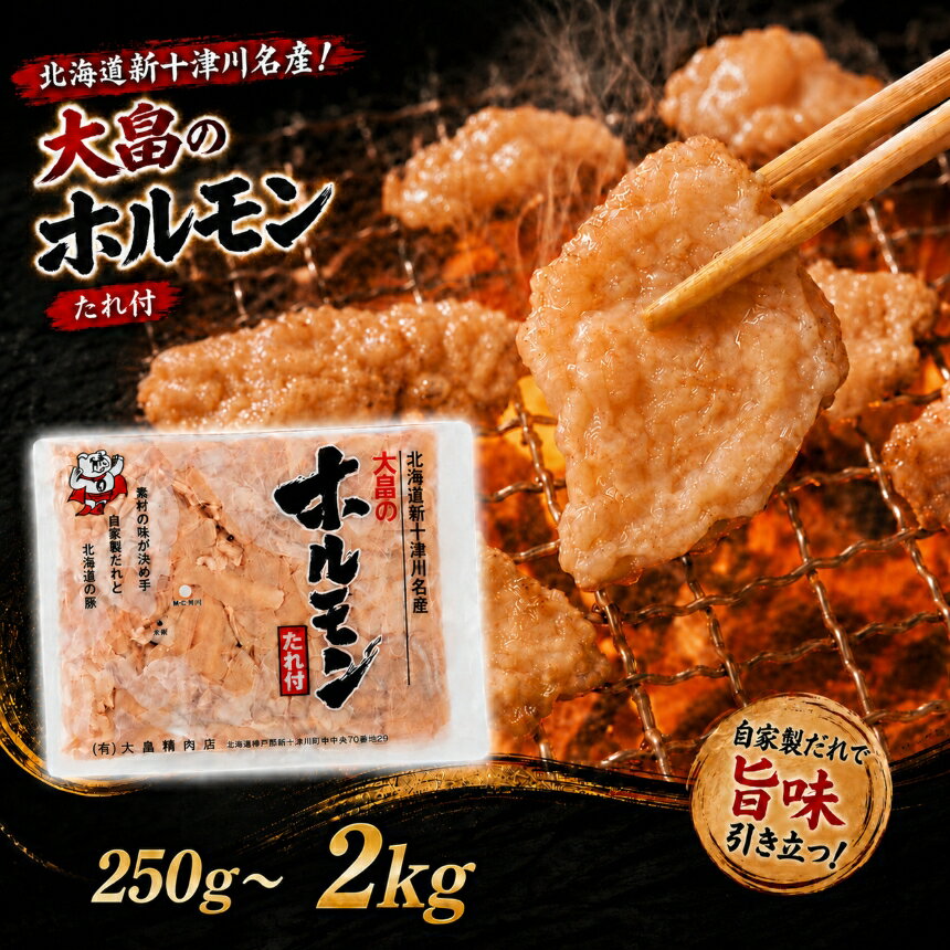 【ふるさと納税】大畠のホルモン 選べる容量 250g 〜 2kg 北海道産 豚ホルモン しろ テッチャン 味噌味 豚大腸 豚小腸 豚胃袋 味付き ホルモン焼き 焼肉 BBQ 豚肉 お肉 精肉 おつまみ 冷凍 小分け【北海道新十津川町】