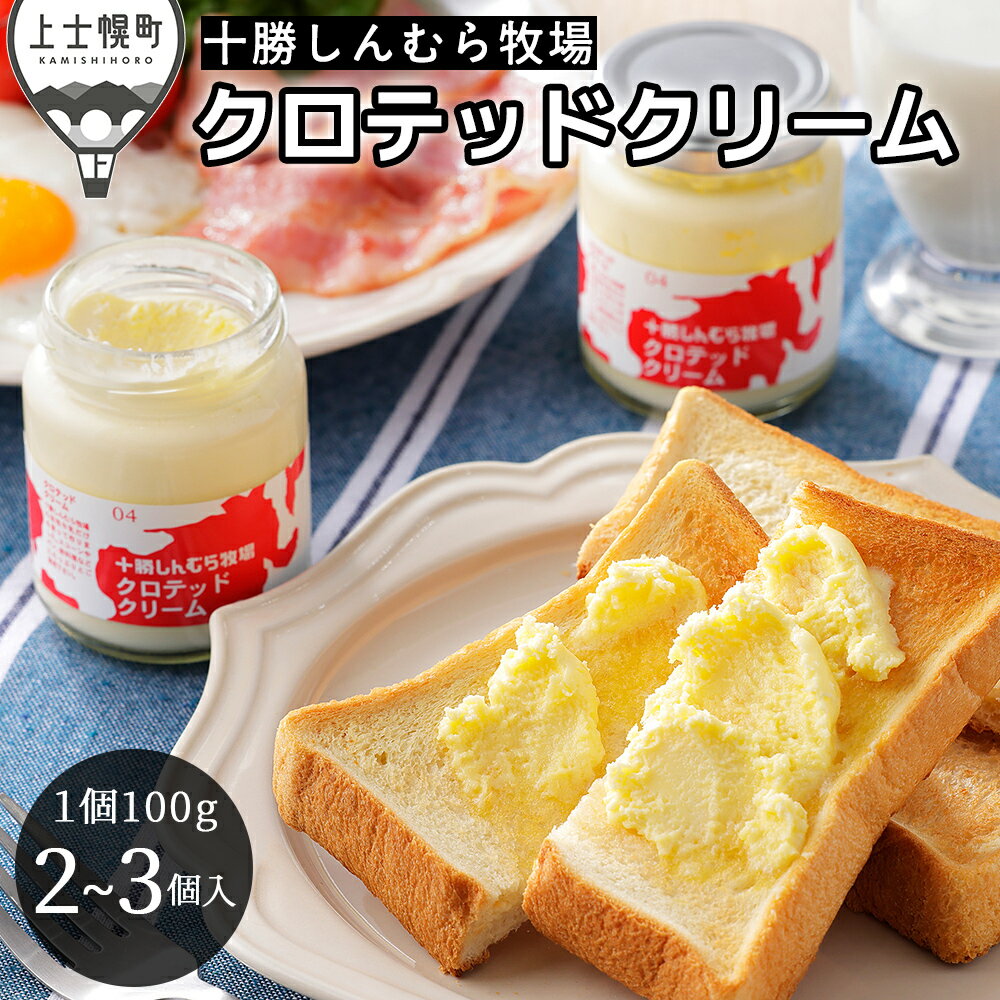 【ふるさと納税】十勝しんむら牧場 無塩 クロテッドクリーム 1個100g 計2～3個 北海道 放牧牛乳使用 冷蔵 レビューキャンペーン対象品 ※オンライン申請対応