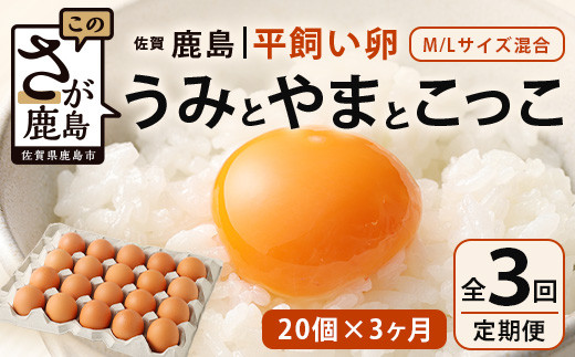 
【定期便 3回】平飼い卵「うみとやまとこっこ」上田養鶏場 たまご20個 × 3ヶ月【合計60個】佐賀県鹿島産 卵 タマゴ C-112
