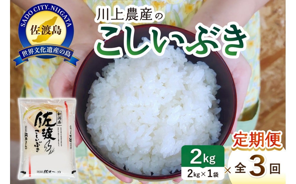 
            令和7年産 佐渡 川上農産のこしいぶき 定期便（2kg×全3回）
          