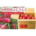 【ふるさと納税】《先行予約 2024年度発送》【ご家庭用】山形県産のサンふじりんご10kg（玉数おまかせ） りんご リンゴ 林檎 デザート フルーツ 果物 くだもの 果実 食品 山形県 FSY-0409