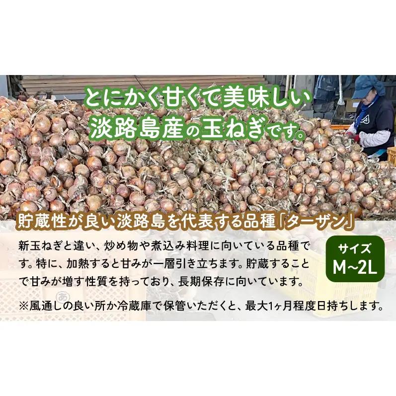 ターザン 淡路島産貯蔵用玉ねぎ 3kg たまねぎ タマネギ 玉葱 野菜 新鮮 長持ち 貯蔵用 カレー シチュー バーベキュー スープ 兵庫県 洲本市 淡路島