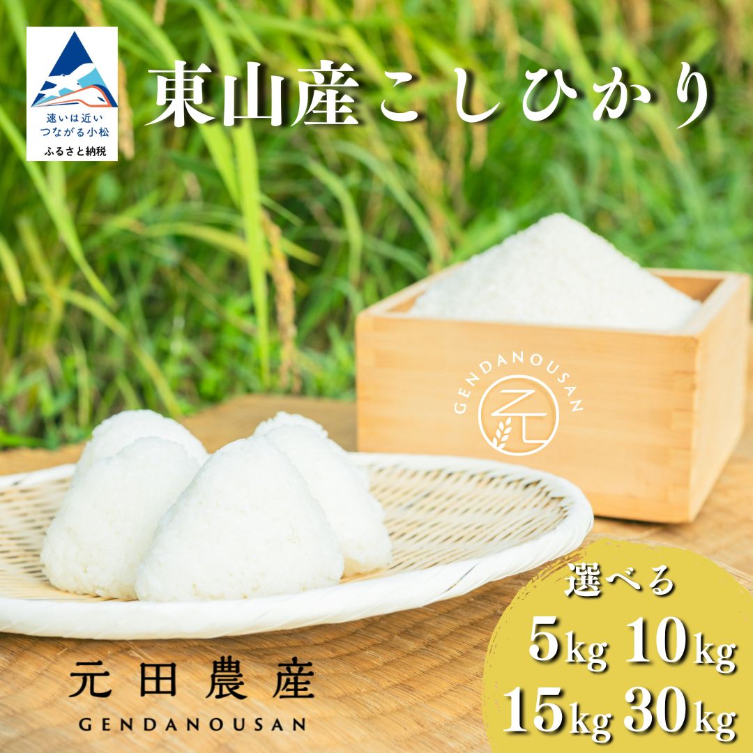 【ふるさと納税】 コシヒカリ 精米 選べる 5kg / 10kg / 15kg / 30kg 令和7年産 米 コメ お米 国産米 小松市 石川県 北陸 【元田農産】018045