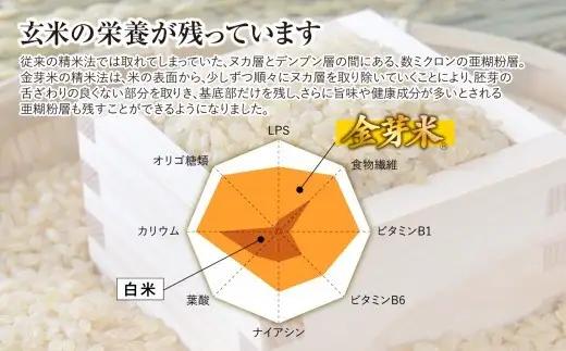 金芽米 10kg  宮城県産金芽米