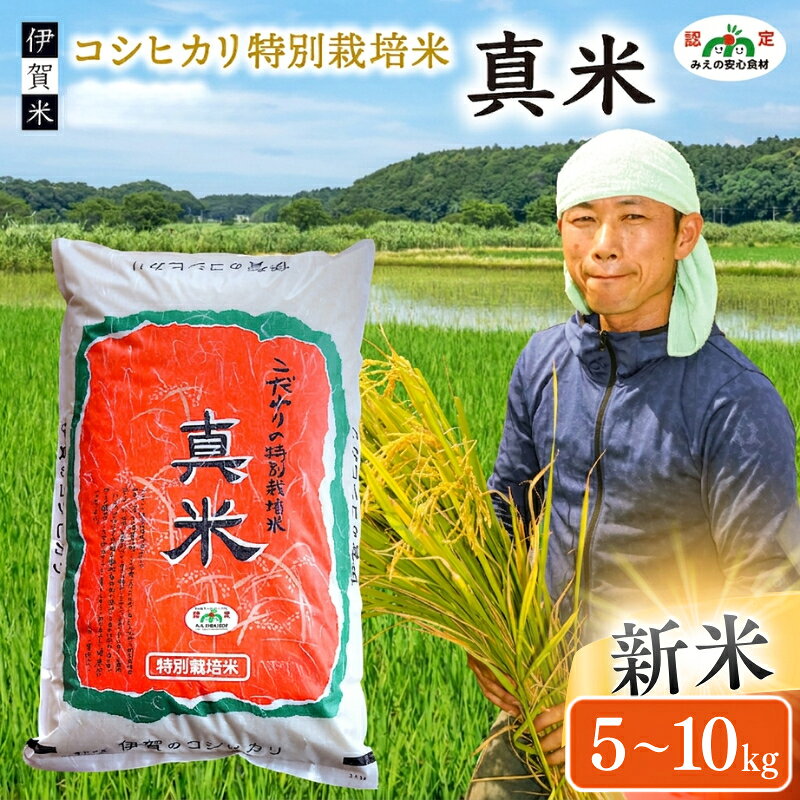 【ふるさと納税】米 伊賀米（選べる！）《伊賀米コシヒカリ特別栽培米「真米」白米 》伊賀米コシヒカリ特別栽培米「真米」白米 ＜5kg〜10kgから選べます＞/「みえの安心食材認定米！ 大粒！モチモチ！つやつや！ 」米 伊賀米 コシヒカリ 精米 送料無料 三重県伊賀市
