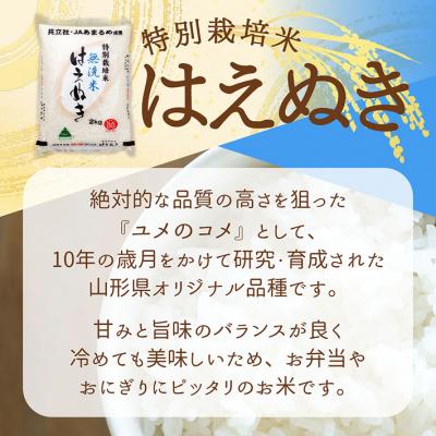 ふるさと納税 庄内町 【新米受付】R8年産 特別栽培米はえぬき無洗米 10kg【10月より順次発送】 |  | 01