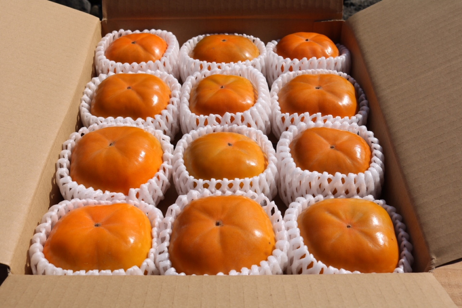 ［産地直送］和歌山県産 柿 約5kg 秀品［US68］