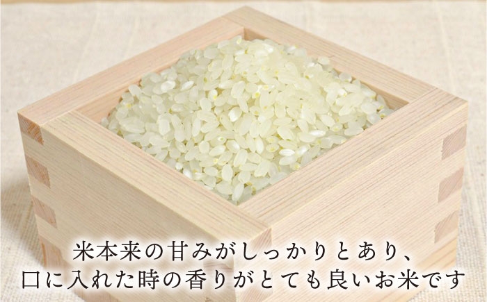 綺麗な山の水で育ったおいしいお米 