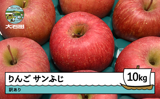 りんご サンふじ 訳あり 約10kg 2025年産 令和7年産 果物 フルーツ 山形県 ry-risfw10000